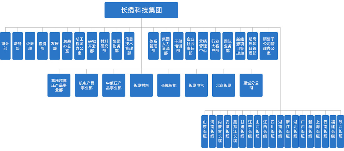 金牌单双王牌单双中特